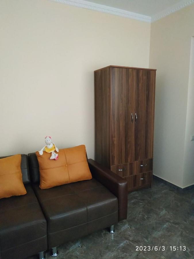 Aleksa Apartment ティビリシ エクステリア 写真